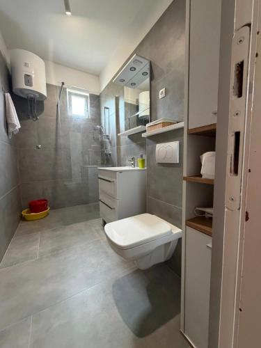 a bathroom with a toilet and a shower at Brzica Saplunara in Saplunara