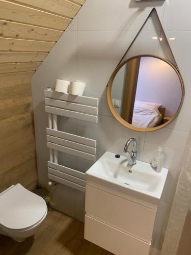 a bathroom with a toilet and a sink and a mirror at Kubanka dom pokoje apartamenty in Płocice