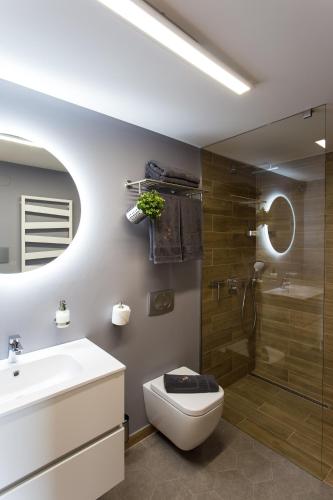 a bathroom with a shower and a toilet and a sink at Szarvashegy Panoráma Apartman in Szentendre