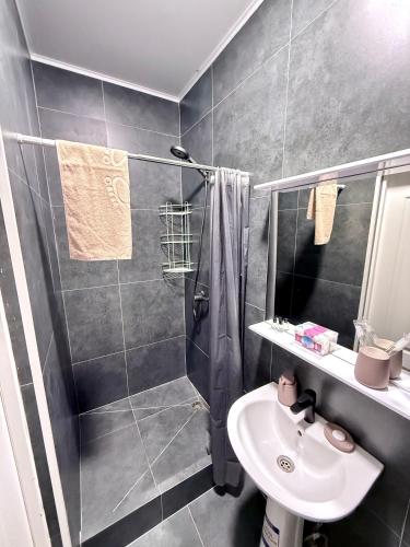 a bathroom with a shower and a sink at Gatto in Bishkek