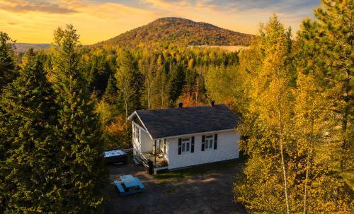 an aerial view of a small white house in the woods at Chic Shack with spa - near Massif Charlevoix & MSA in Saint-Tite-des-Caps