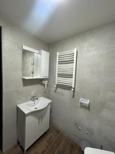 a bathroom with a sink and a toilet and a window at Forest Edge in Borjomi