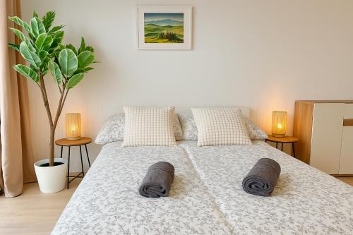 Modern Apartment with Free Parking