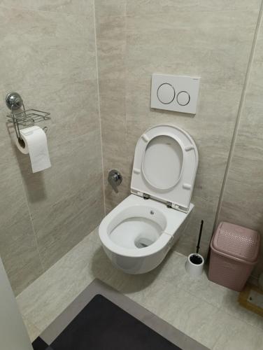 a bathroom with a toilet with a roll of toilet paper at Virgin Forest D&A in Gornja Presjenica