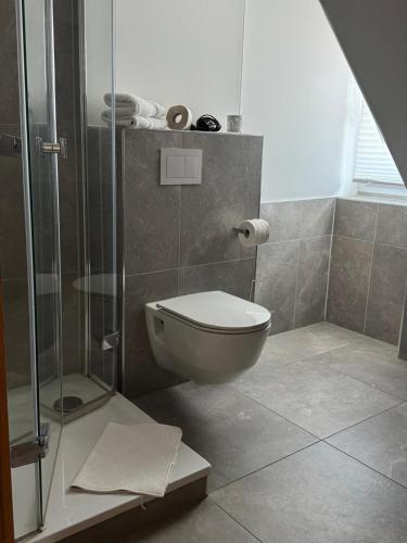 a bathroom with a toilet and a glass shower at Mendoza Steakhaus & Hotel in Mirow