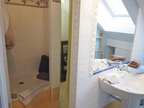 a bathroom with a sink and a shower at La Bruyère-Maison d'hôtes-Piscine in May-sur-Orne