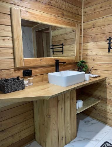 a bathroom with a sink and a mirror at Mountain villa in Skhidnitsa