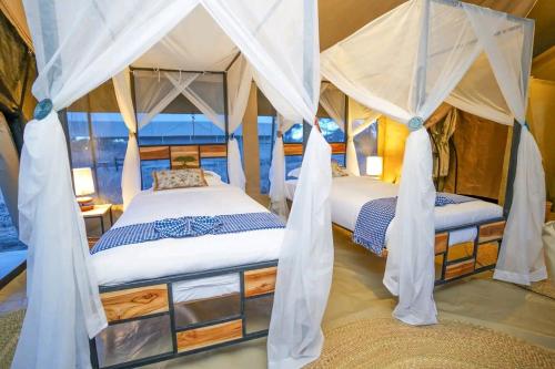 two beds in a room with mosquito nets at Royal Horizon Adventure in Sekenani