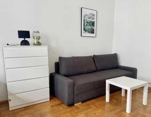 Long-Term Apartment in Heart of Vienna