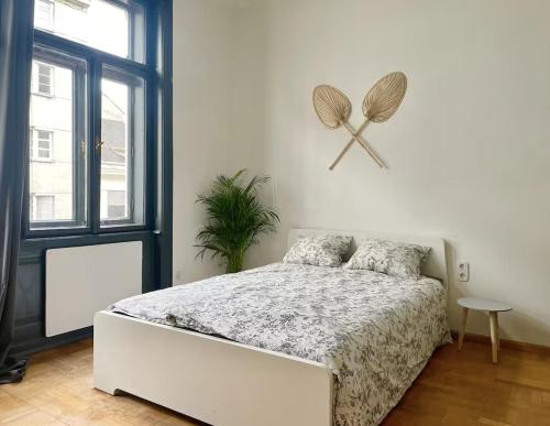 Long-Term Apartment in Heart of Vienna