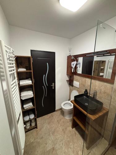 a bathroom with a toilet and a black door at Green Escape in Slănic-Moldova