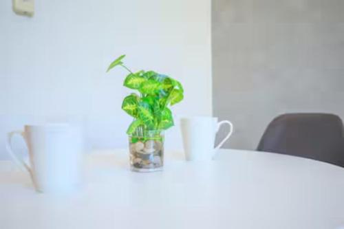 zeroichi-hakata-loft-102