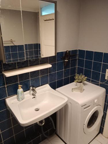 a bathroom with a sink and a washing machine at FjordHome in Flensburg