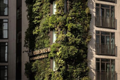 The Athenaeum Hotel & Residences photo 102