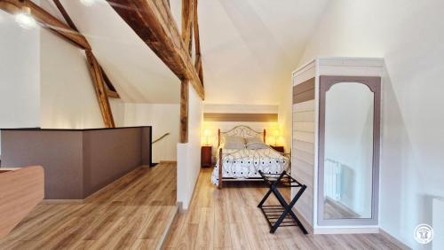 a bedroom with a bed and a large mirror at La Virée Champêtre in Villiers-Saint-Benoît