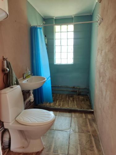 a bathroom with a toilet and a sink at BurshtynSV in Svityazʼ