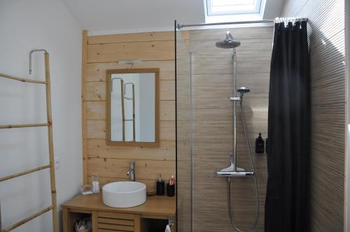 a bathroom with a shower and a sink at La Cabane 14 climatisée - Escapade sur le Bassin d'Arcachon - Terrasse & Nature in Lanton