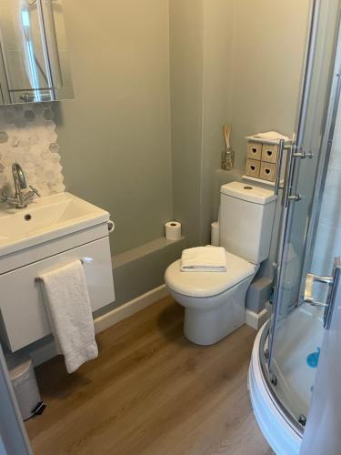 a bathroom with a toilet and a sink and a shower at Apartment in Constantine in Constantine
