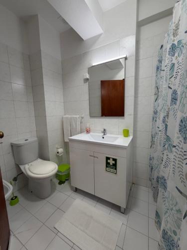 a bathroom with a toilet and a sink and a mirror at Edificio Canoa in Armação de Pêra