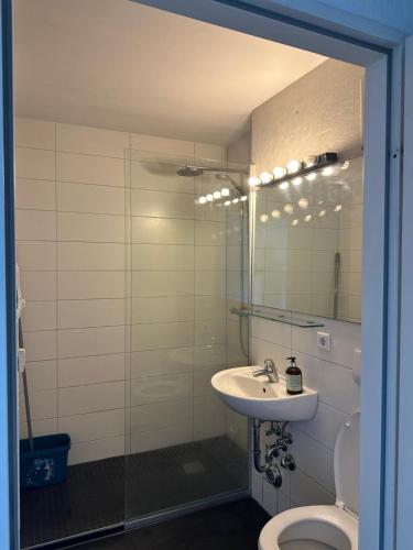 a bathroom with a sink and a toilet and a mirror at Helles Apartment mit Self Check-in in Nuremberg