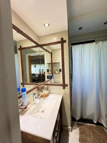 a bathroom with a sink and a large mirror at Quinta El Arrayan in Tandil