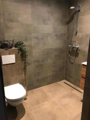 a bathroom with a toilet and a shower at B&B An de N35 in Zwolle