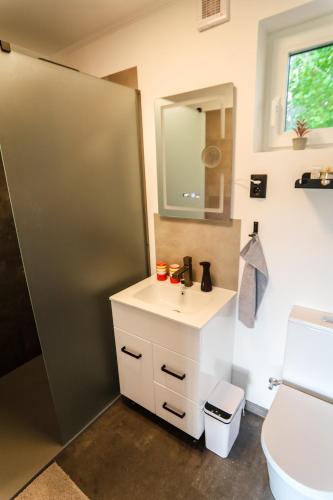 a bathroom with a sink and a mirror at Horizont Hillside Mályinka in Mályinka