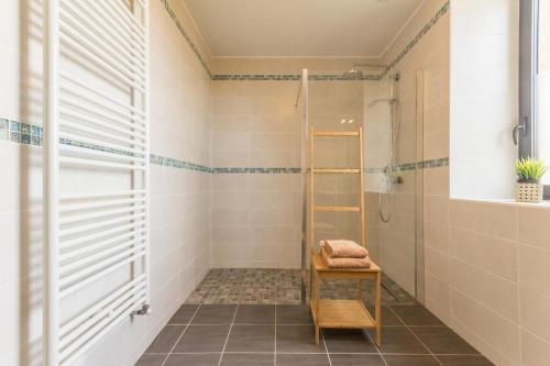 a bathroom with a shower with a wooden ladder at Le Moulin de Commagny in Moulins-Engilbert