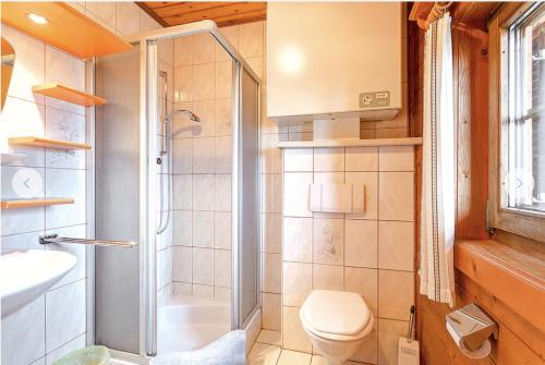 a bathroom with a shower and a toilet and a sink at Almhütte Gipper in Heiligenblut