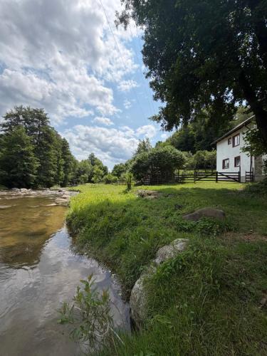 a house next to a river next to a building at Colț de Vâlsan in Brăduleţ