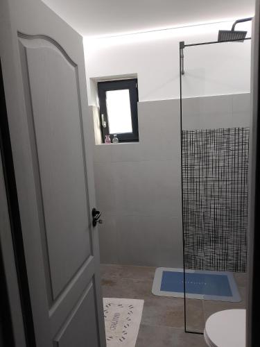 a bathroom with a shower and a glass door at Luca`s Chalet Ocnele Mari in Ocnele Mari