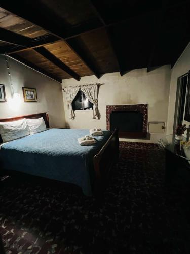 a bedroom with a bed and a fireplace at Rancho Meling in Camalú