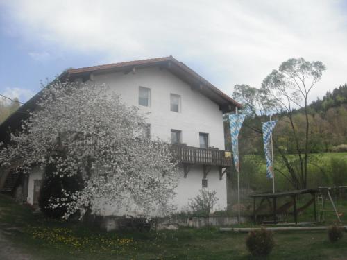 a white house with a flowering tree in front of it at Gasthaus Zehrermühle in Schönberg