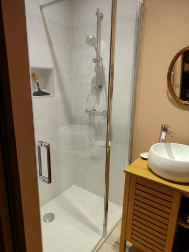 a shower with a glass door next to a sink at Le Logis Rabelaisien in Bourgueil