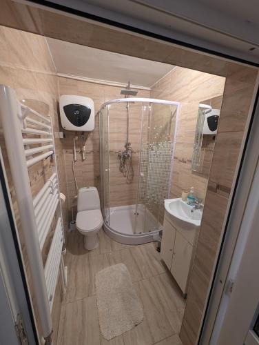 a bathroom with a shower and a toilet and a sink at La Moară la Făgădău in Tuşnad