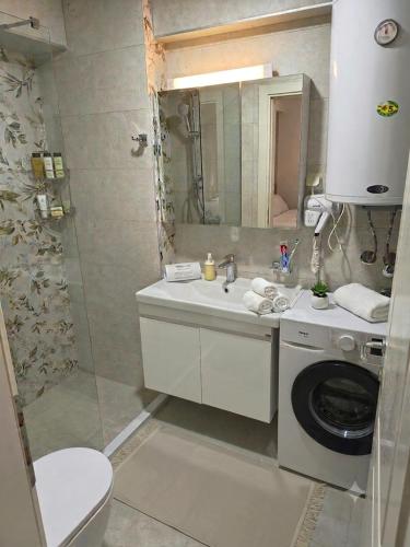 a bathroom with a sink and a washing machine at Petar Apartment-City Center, Ohrid in Ohrid