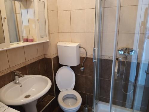 a bathroom with a toilet and a sink and a shower at Kumbor S in Herceg-Novi
