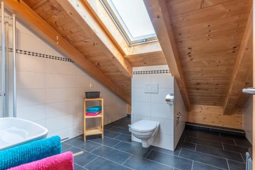 a bathroom with a toilet and a skylight at Kramerhof - Ferienwohnung Wallberg in Aufhofen