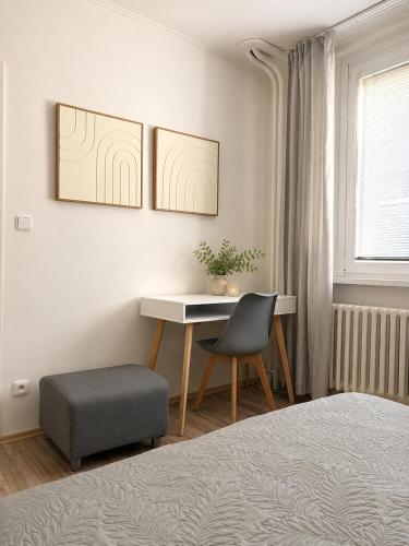 a bedroom with a desk and a chair and a bed at Apartmán Větrná s klimatizací a terasou in Zlín