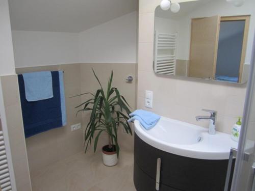 a bathroom with a sink and a potted plant at Ferienwohnungen Tollhof - Near Bolzano and castles, with a guest card for families and couples, offering panoramic views in Cornaiano