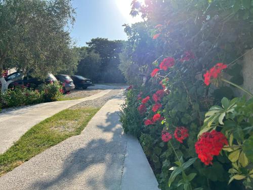 a garden with red flowers and a sidewalk at Aloju Rooms in Vlorë