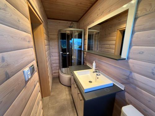 a bathroom with a sink and a toilet at Liptovsky Zrub in Gôtovany
