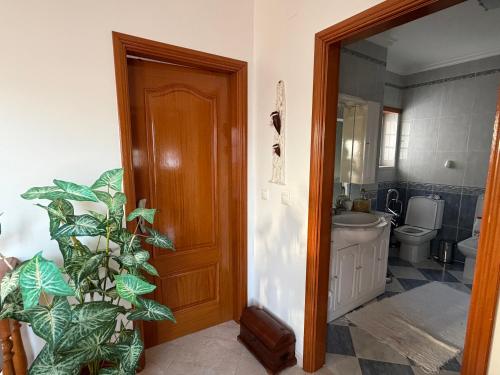 Apartamento Golfinho - Piscina e Praia