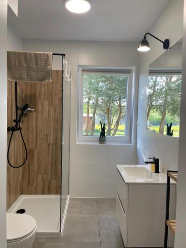 a bathroom with a shower and a toilet and a sink at Sosnowy Zakątek in Radęcin