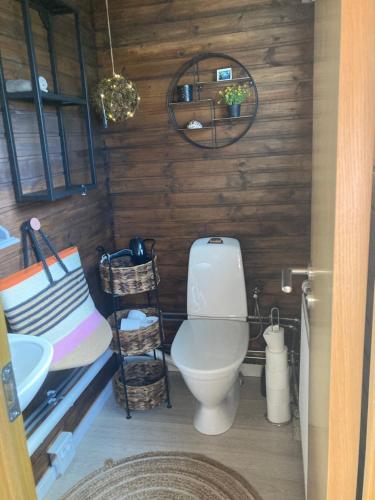 a bathroom with a toilet and a sink at River view contryside in Reykholt