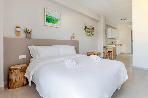 Luxury Athens Home&Rooftop Acropolis View