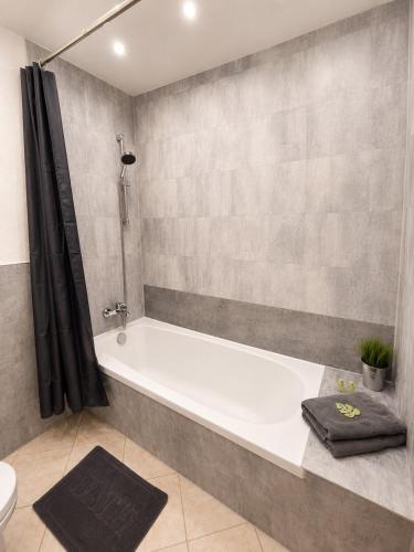 a bathroom with a bath tub and a toilet at Palmen Apartment direkt in Bad Aibling in Bad Aibling
