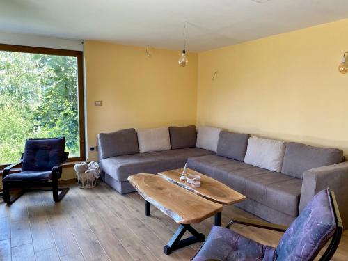 a living room with a couch and a table at Vila Vlasinski mir in Surdulica