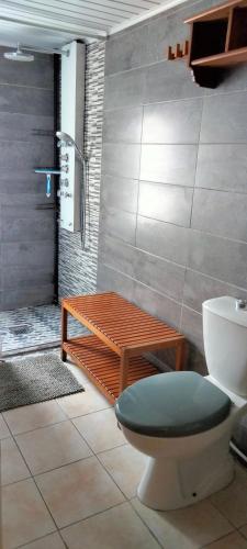 a bathroom with a toilet and a bench and a shower at Entre vigne et Loire in La Coindassière