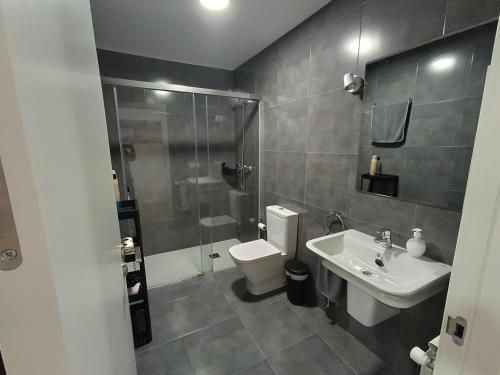a bathroom with a toilet and a sink and a shower at Apartamentos Illa Pancha in Ribadeo